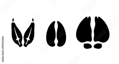 Three different animal footprints shown in black silhouette.