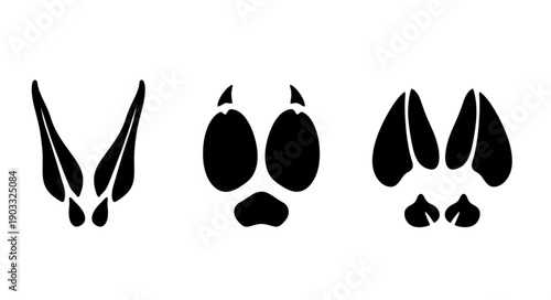 Three different animal footprints shown in black on white background.