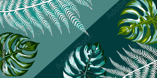 Tropical monstera and fern leaves on a split teal and white background