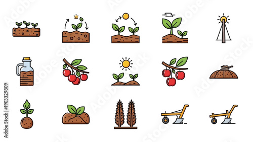 Illustration of a plant growth cycle from seed to harvest, showcasing various stages of development and gardening tools.