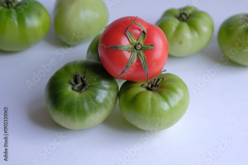 difference concept. one red tomato among green tomatoes. Leadership, uniqueness, think different, business success.