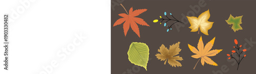 Assorted Autumn Leaves and Berries Collection on Dark Background