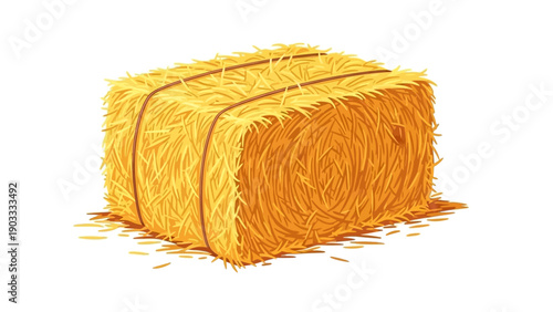A large rectangular bale of straw tied with twine, viewed from the side on a plain white background, imagefx_uujl3y_via_RJ_ImageFX_Auto.eps
