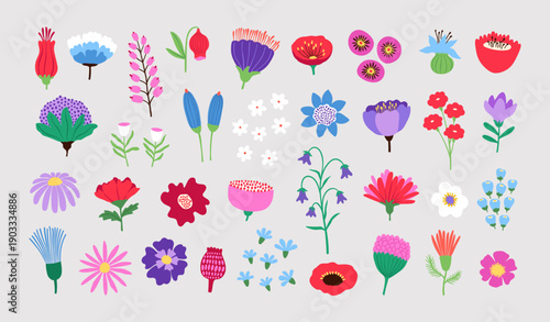 Hand drawn colorful nature set of abstract spring flowers. Floral collection with different types of decorative plants. Botanical design illustration for holiday decorations, card, invitation, clipart