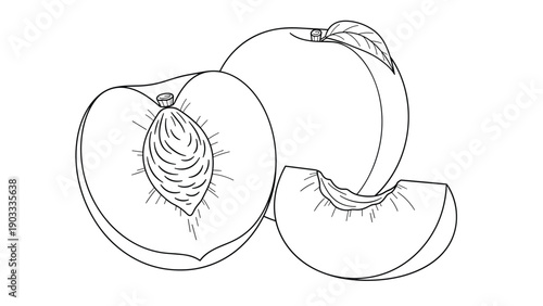 Black and white line drawing of fresh peaches includes one whole fruit, one half with a pit, and a small slice.
