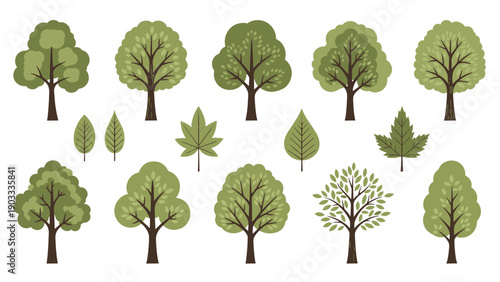 Variety of green deciduous trees and individual leaves are presented in a clean and simple vector illustration set.