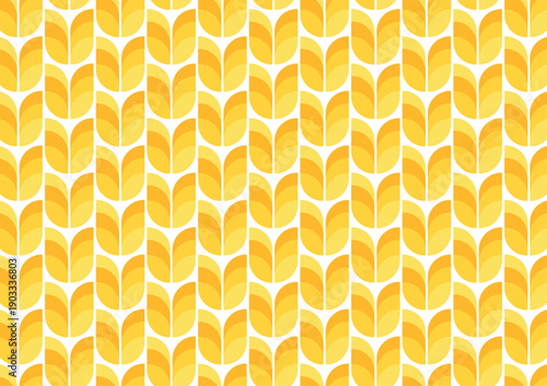 Wheat pattern vector on white background. Oat or Grain pattern. Paddy backdrop.