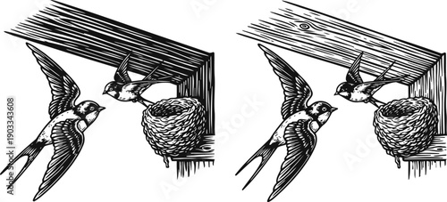 swallows feeding at nest under wooden roof corner, black and white vector illustration