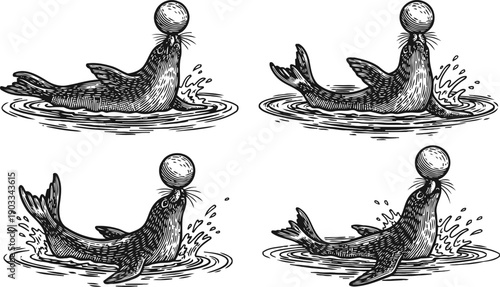 Vintage seals balancing balls on noses in water hand drawn circuses animals performing tricks in playful poses