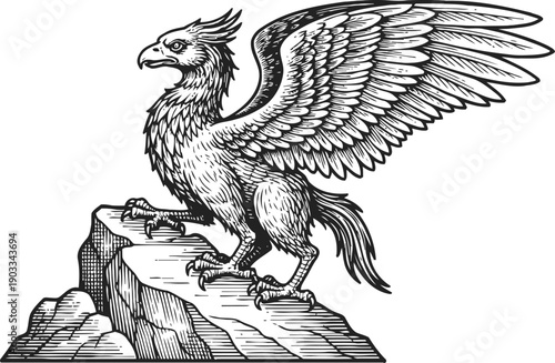 Mythical griffin perched on rocky terrain with wings spread wide in detailed black and white drawing