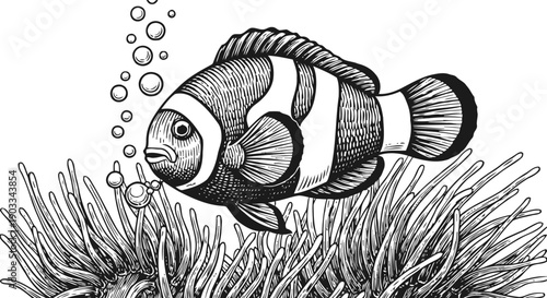 Clownfish swimming among sea anemone tentacles underwater ocean marine life illustration