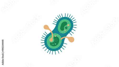 Abstract representation of two dividing bacteria cells with surface spikes, in a simple, modern flat design using teal, green, and beige colors.