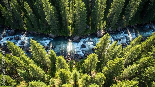 Aerial view captures a vibrant river flowing through a dense forest, creating a stunning natural landscape
