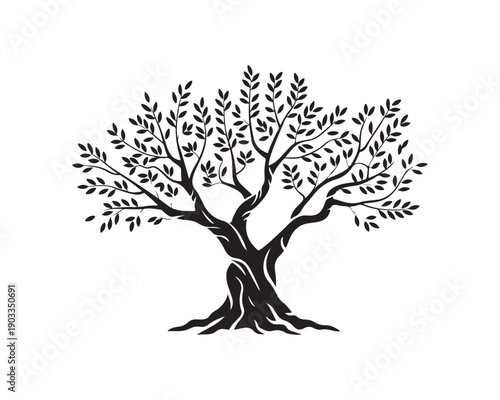 A detailed black silhouette of a mature olive tree with a wide trunk and numerous small leaves