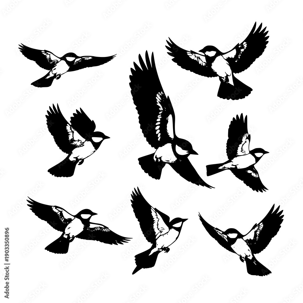 Fototapeta premium Blue Tits in Flight Vector Illustration Isolated on White