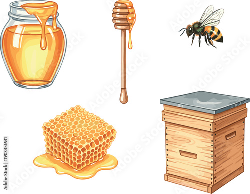 Honey beekeeping elements set with jar dipper honeycomb bee and wooden hive illustration