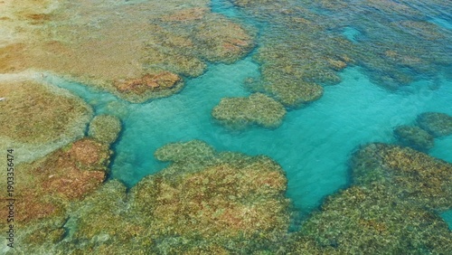 Wallpaper Mural Aerial view of bright coral reef lagoon on Caribbean coast of Costa Rica WOMAN. Torontodigital.ca