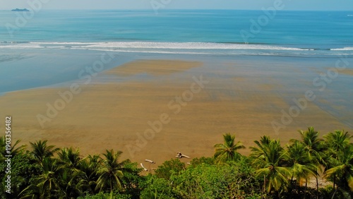 Wallpaper Mural Green palm canopy over broad tidal beach under soft tropical morning light in Costa Rica. Torontodigital.ca