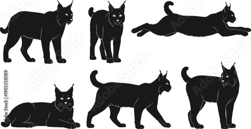 Black cat silhouette collection featuring domestic feline poses isolated on white background, animal vector set for Halloween, pet, and design