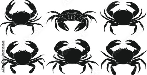 Crab silhouette collection featuring detailed marine crustaceans in various poses isolated on white background, ocean wildlife vector set for design