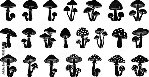 Mushroom silhouette collection featuring forest fungi varieties isolated on white background, botanical vector set for nature, autumn, and decorative design