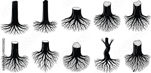 Tree stump and root silhouette collection featuring detailed underground structures isolated on white background, botanical vector set for nature design