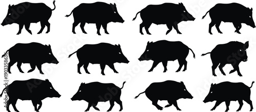 Wild boar silhouette collection featuring walking forest animals isolated on white background, wildlife vector set for hunting, nature, and design