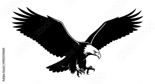 black eagle silhouette flying
