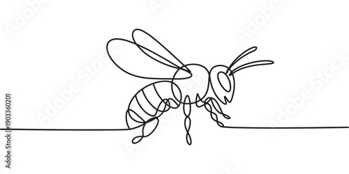 Minimalist continuous line art illustration of a honey bee isolated on a white background Vector, illustration