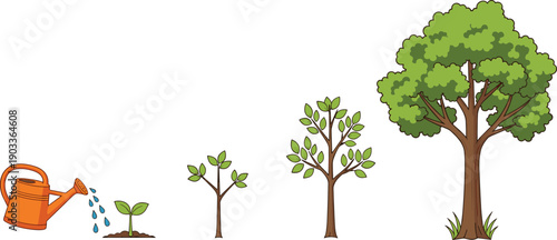 Vector illustration set of tree growth stages from a small sprout watered by a can to a full adult tree