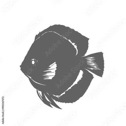 silhouette illustration of Discus fish without background