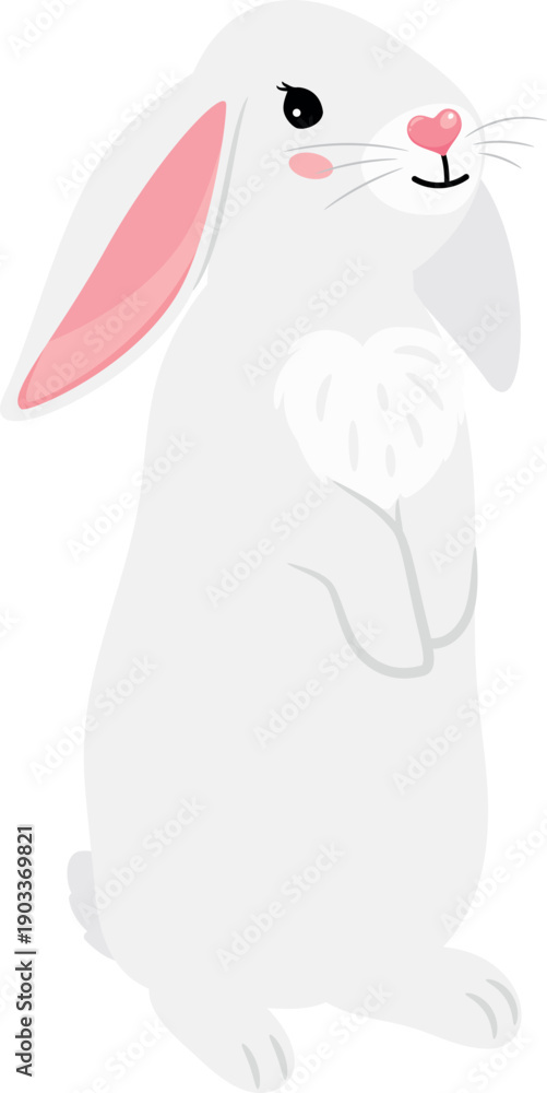 Obraz premium Cute bunny pet. Wild rabbit in funny pose