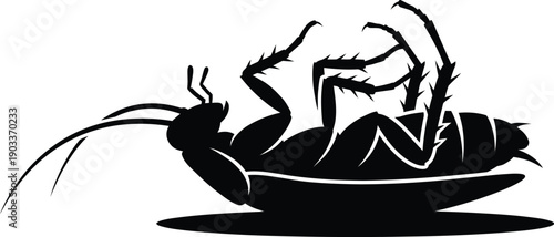 Killed Cockroach Symbol Silhouette Vector Dead Roach