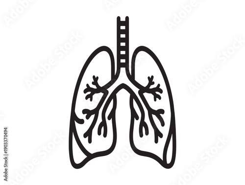 Human lungs anatomy diagram with trachea and bronchi