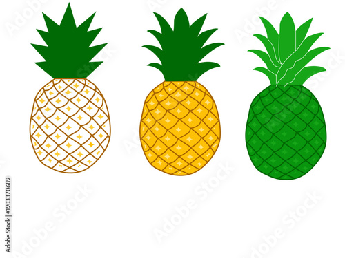 A collection of pineapple fruit illustrations. Hand-drawn pineapples in white, yellow, and green.