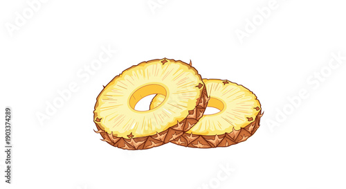 Two juicy round slices of ripe pineapple with textured skin, illustrated in a detailed, colorful style and isolated on white.