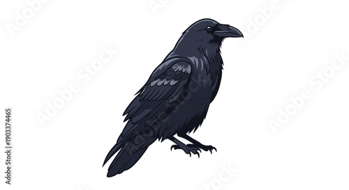 Detailed illustration of a black raven or crow standing, created in a realistic cartoon or comic book style on a white background.