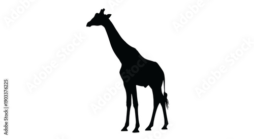 giraffe silhouette standing