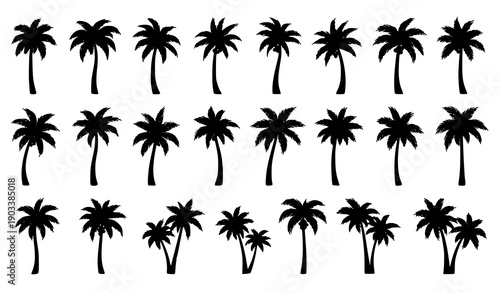 Hand drawn palm tree silhouette vector set with fruit bearing tropical palms isolated on white background for nature illustrations