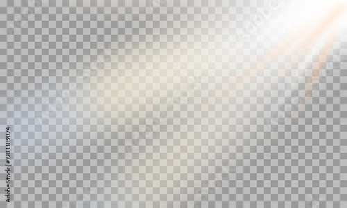 Natural sunlight beams with soft glow and lens flare for abstract sky background vector
