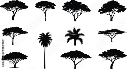 Tree silhouettes illustration with acacia, palm, broad canopy shapes, dense foliage, black and white artwork, nature, landscape, botanical design