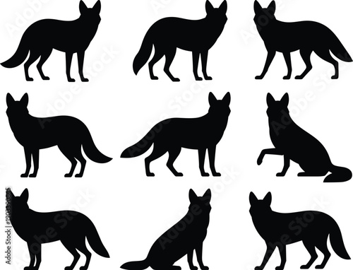 Wolf dog silhouettes illustration with multiple poses, animal anatomy, black and white artwork, wildlife, nature, behavior, design, educational concept