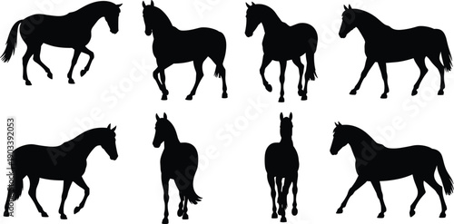 Horse silhouettes illustration with multiple poses, animal anatomy, black and white artwork, wildlife, nature, equestrian design, educational concept