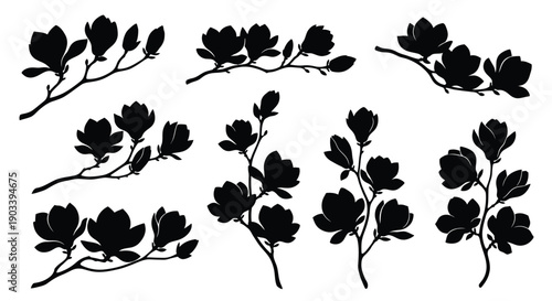 Black silhouette magnolia branches with flowers and buds