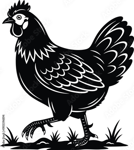 Hen Chicken Farm Animal Vector Illustration