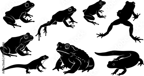 Collection of various frog silhouette poses on white background