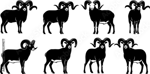 Silhouette of bighorn sheep in various poses