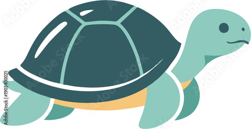 Turtle Cartoon Sea Animal.