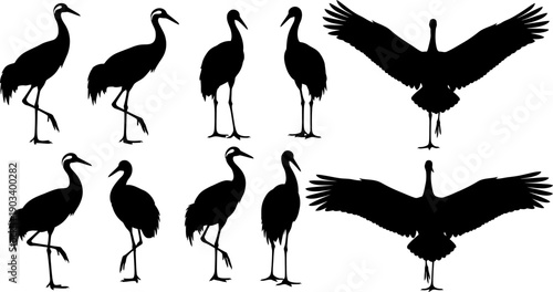 Collection of various crane silhouette poses against a white background