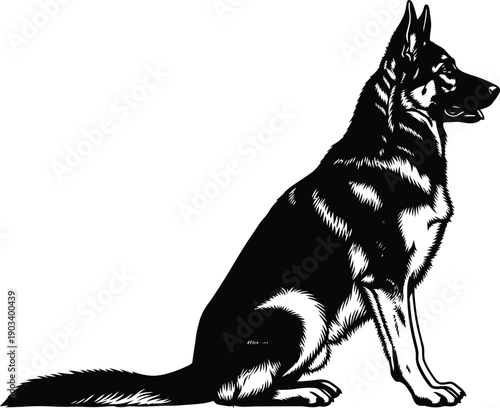 German shepherd dog sitting silhouette
